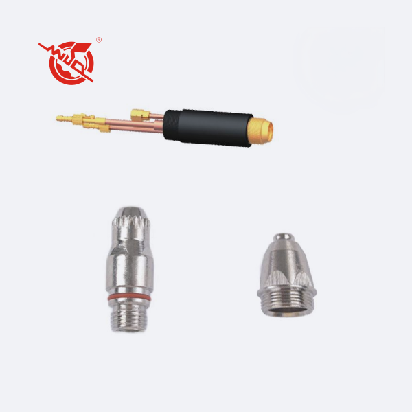 WSD-P200