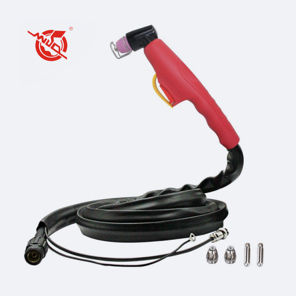 WSD-P60